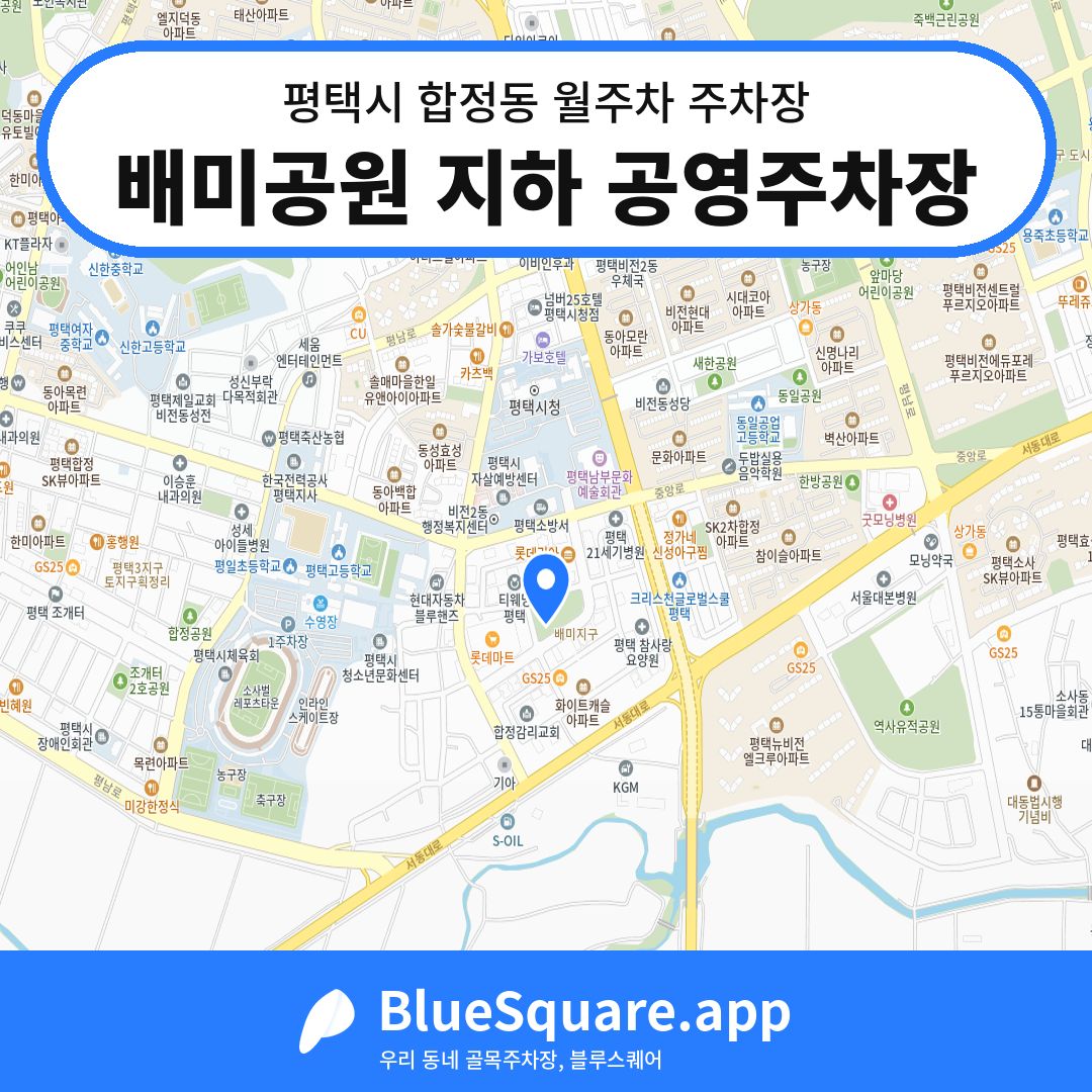 배미공원 지하 공영주차장 위치 지도 — 경기 평택시 합정동 | 블루스퀘어 주차