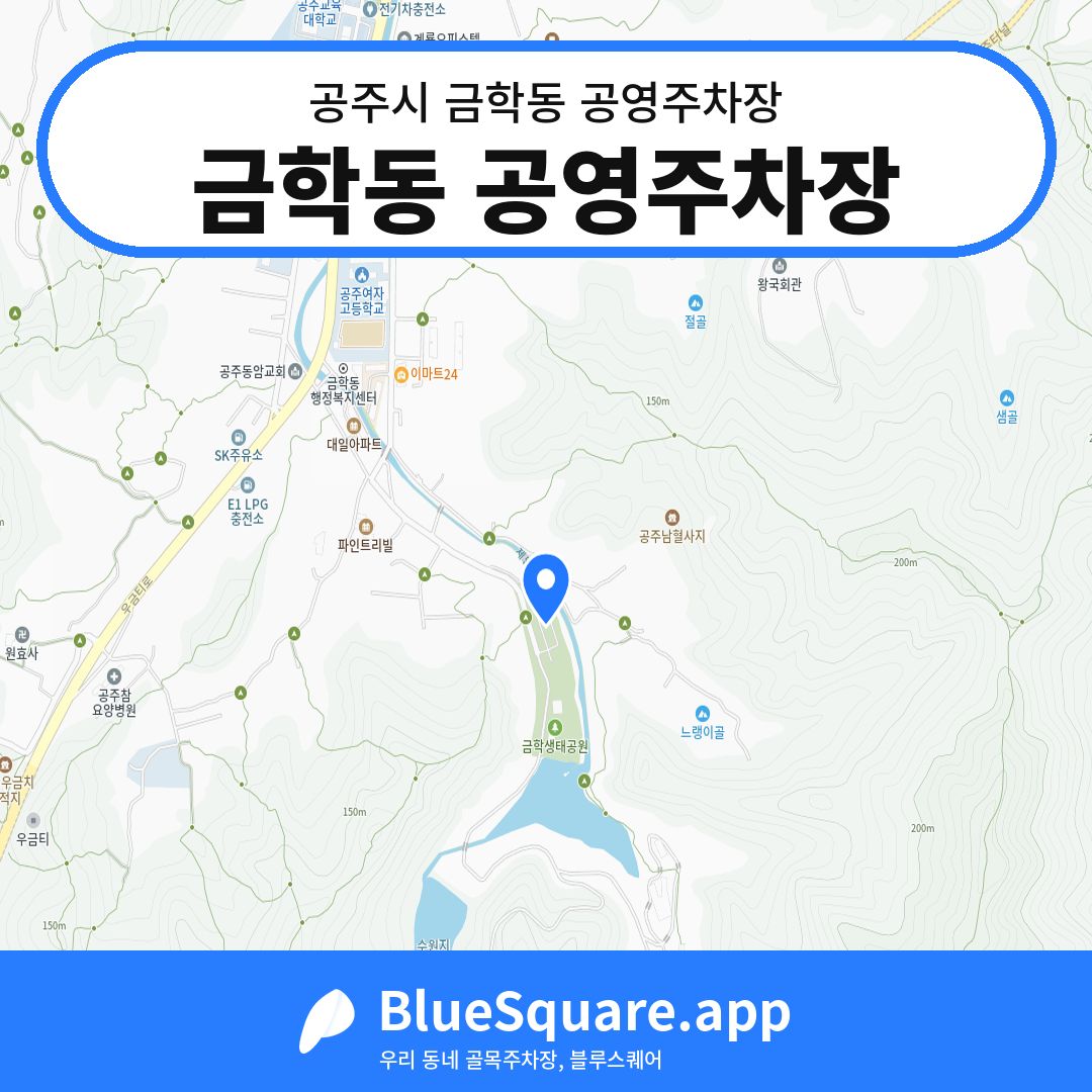 금학동 공영주차장 위치 지도 — 충남 공주시 금학동 | 블루스퀘어 주차