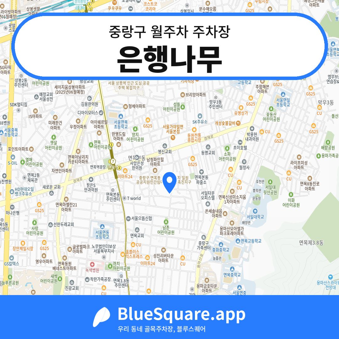 은행나무 위치 지도 — 서울 중랑구 | 블루스퀘어 주차