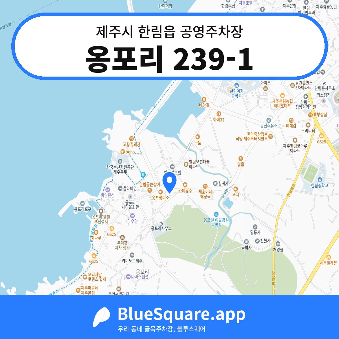 옹포리 239-1 위치 지도 — 제주 제주시 한림읍 | 블루스퀘어 주차