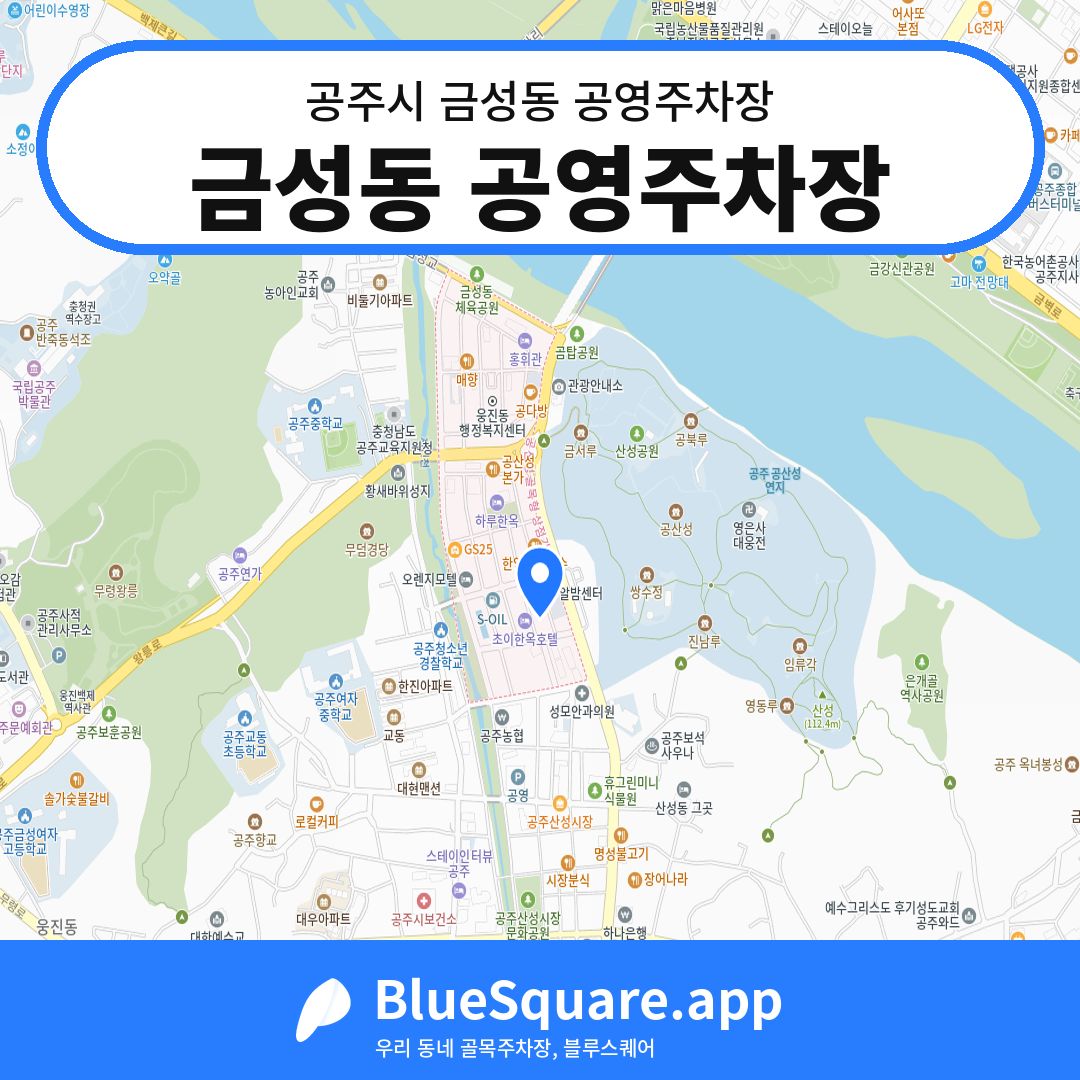 금성동 공영주차장 위치 지도 — 충남 공주시 금성동 | 블루스퀘어 주차