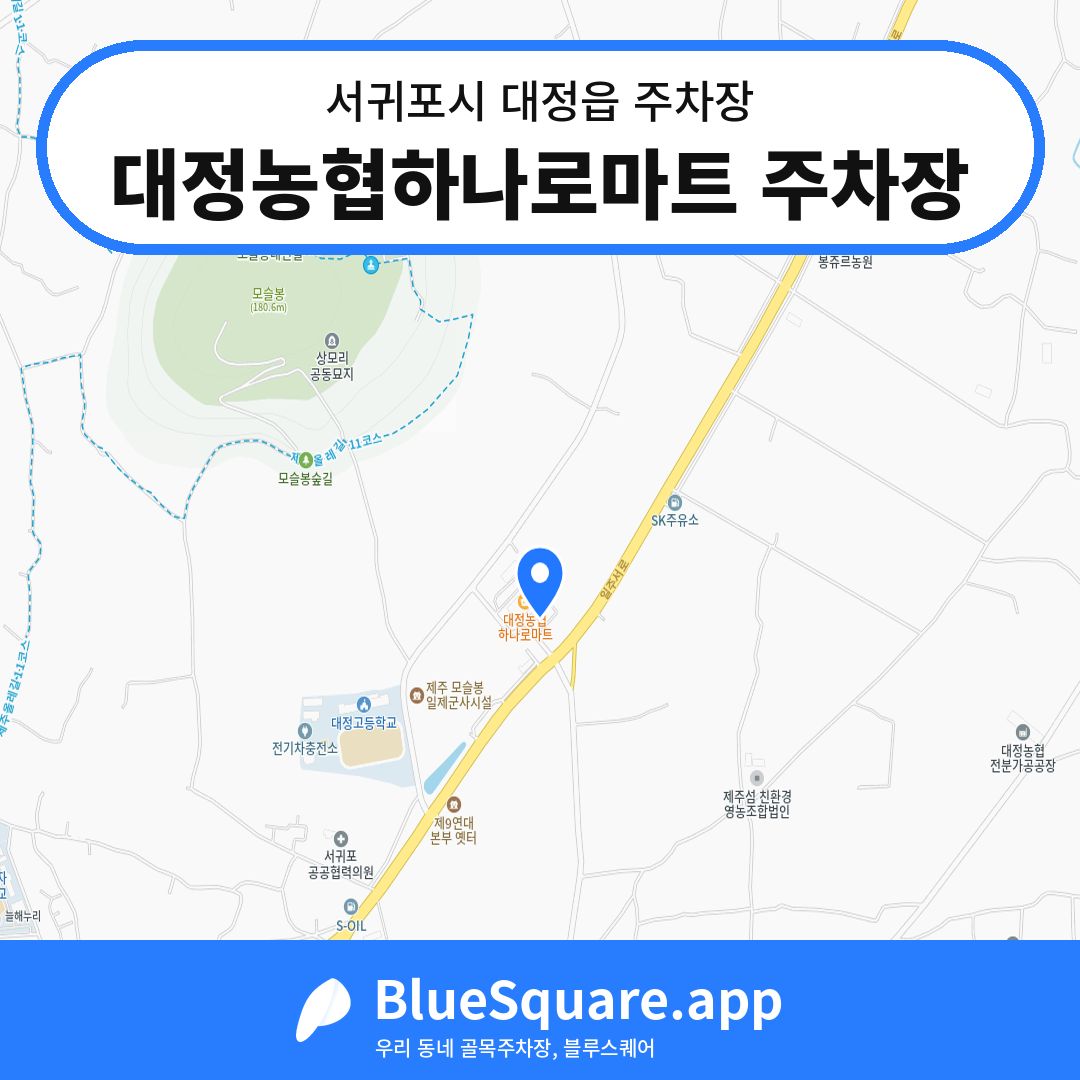 대정농협하나로마트 주차장 위치 지도 — 제주 서귀포시 대정읍 | 블루스퀘어 주차
