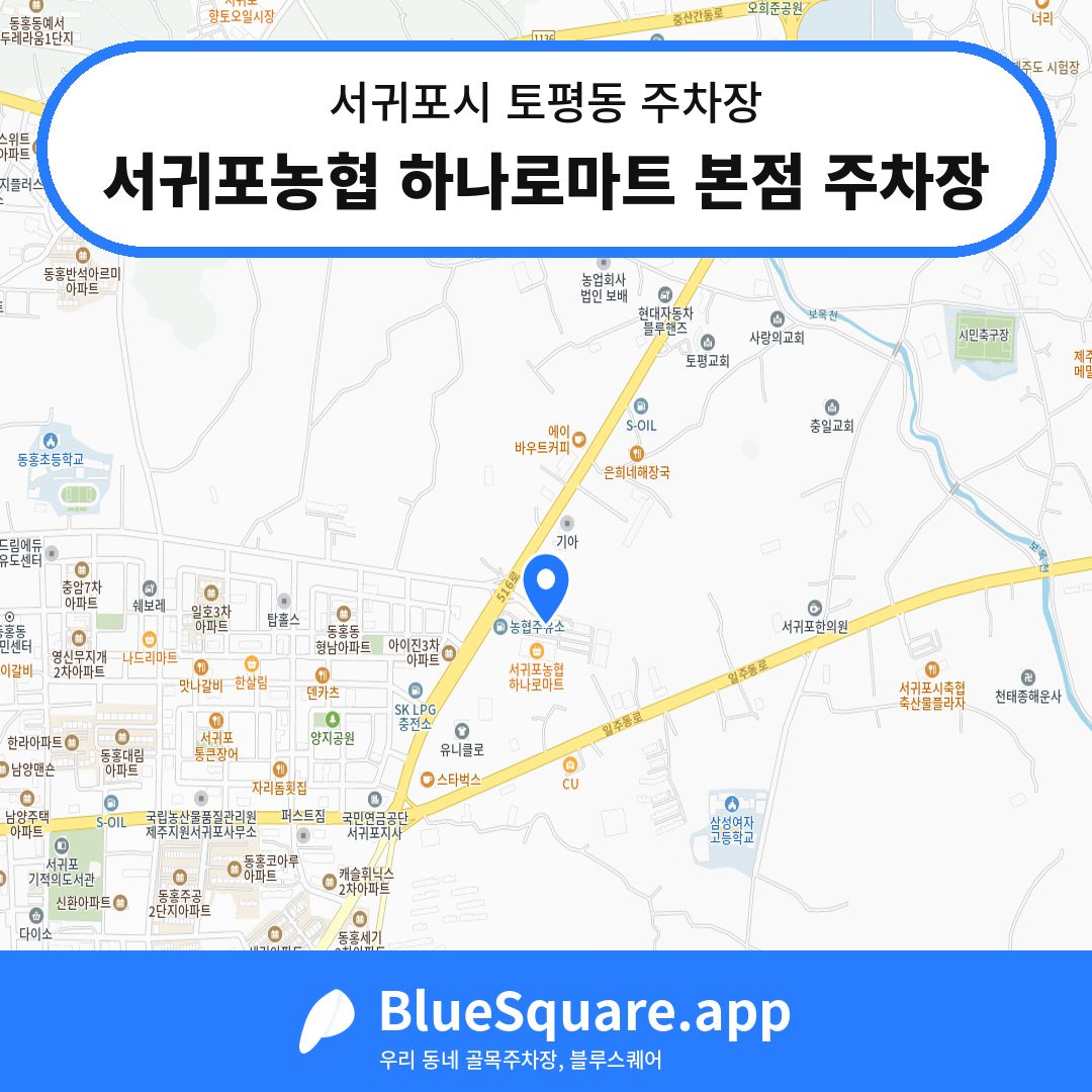 서귀포농협 하나로마트 본점 주차장 위치 지도 — 제주 서귀포시 토평동 | 블루스퀘어 주차