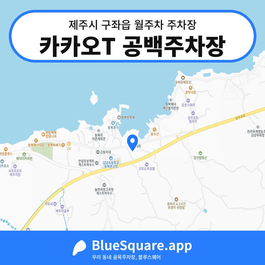 카카오T 공백주차장 위치 지도 — 제주 제주시 구좌읍 | 블루스퀘어 주차