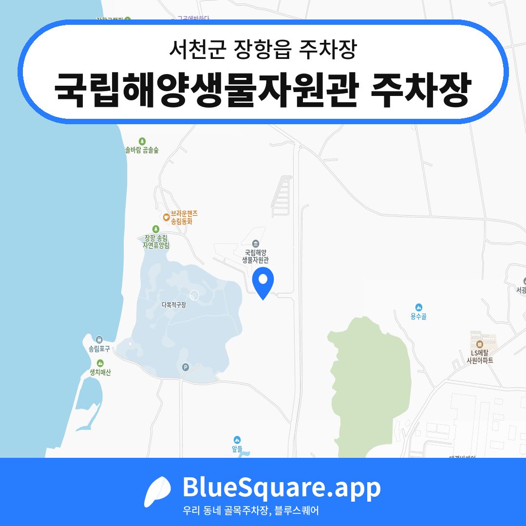 국립해양생물자원관 주차장 위치 지도 — 충남 서천군 장항읍 | 블루스퀘어 주차