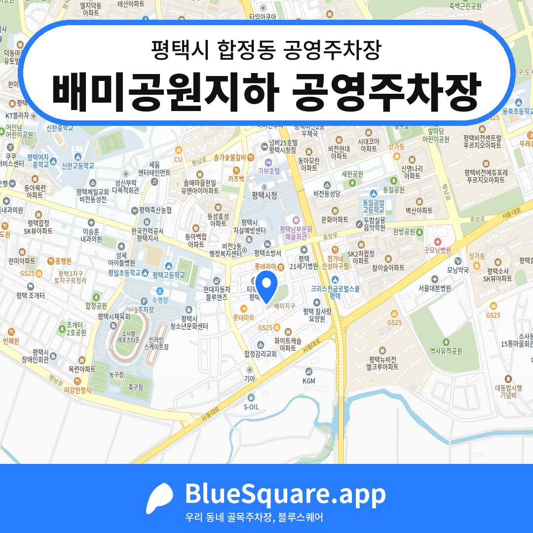 배미공원지하 공영주차장 위치 지도 — 경기 평택시 합정동 | 블루스퀘어 주차