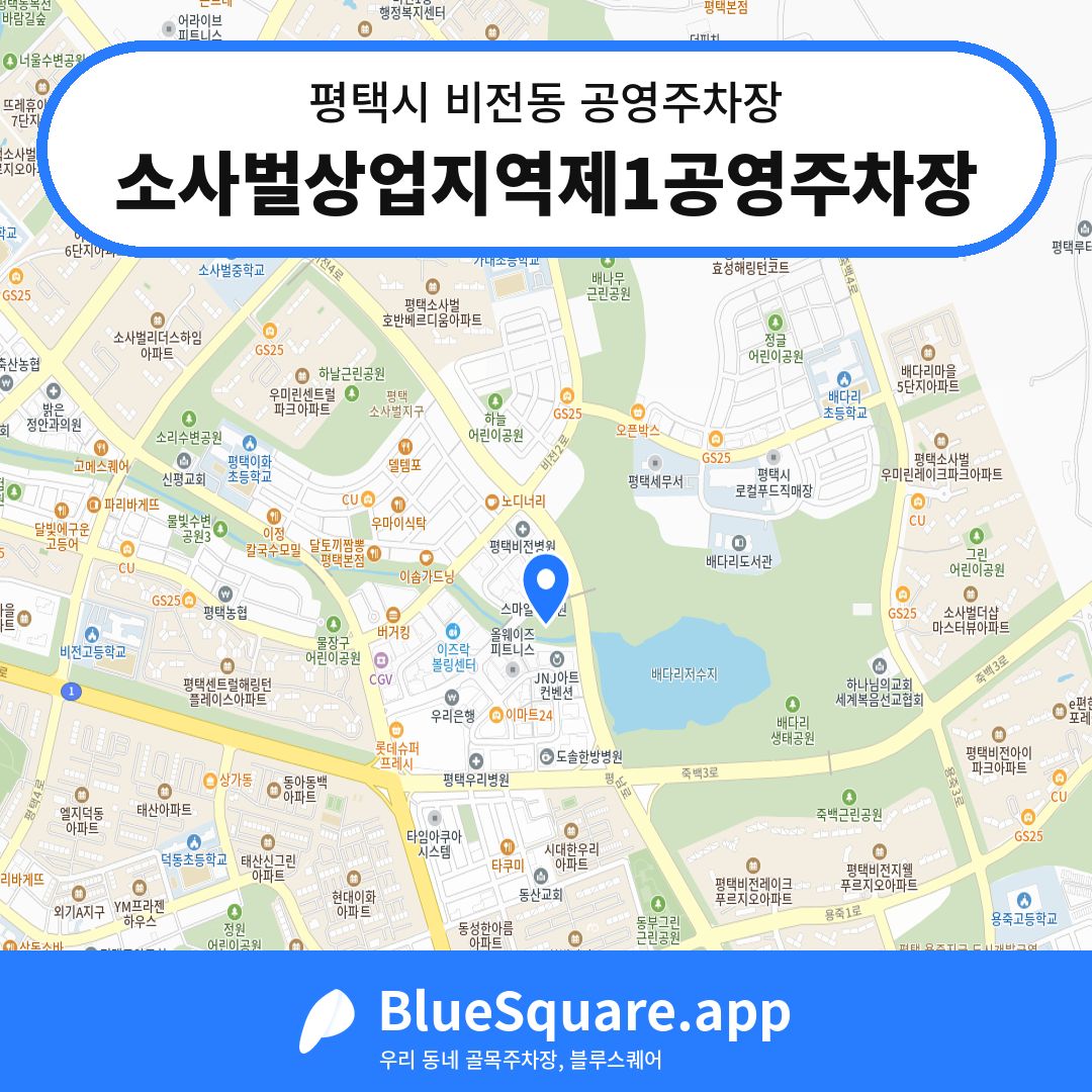 소사벌상업지역제1공영주차장 위치 지도 — 경기 평택시 비전동 | 블루스퀘어 주차