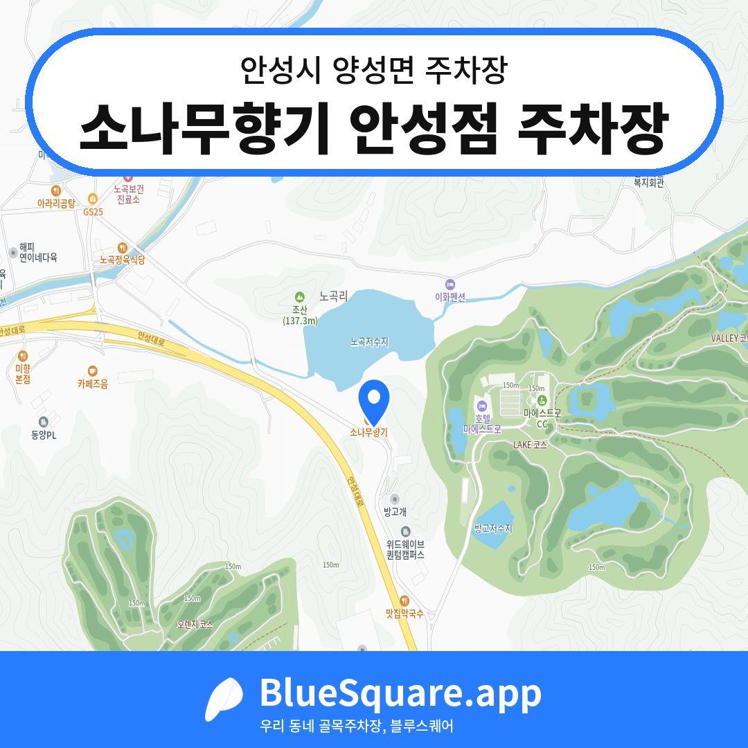 소나무향기 안성점 주차장 위치 지도 — 경기 안성시 양성면 | 블루스퀘어 주차