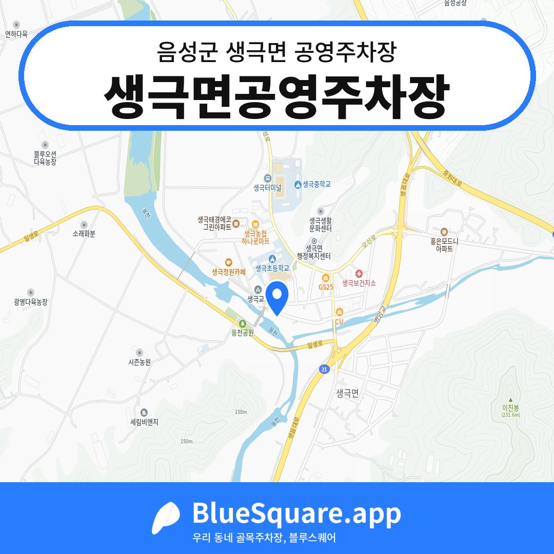 생극면공영주차장 위치 지도 — 충북 음성군 생극면 | 블루스퀘어 주차