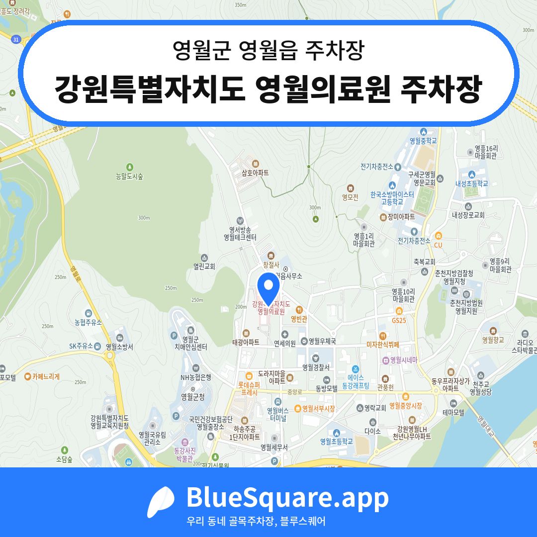 강원특별자치도 영월의료원 주차장 위치 지도 — 강원 영월군 영월읍 | 블루스퀘어 주차