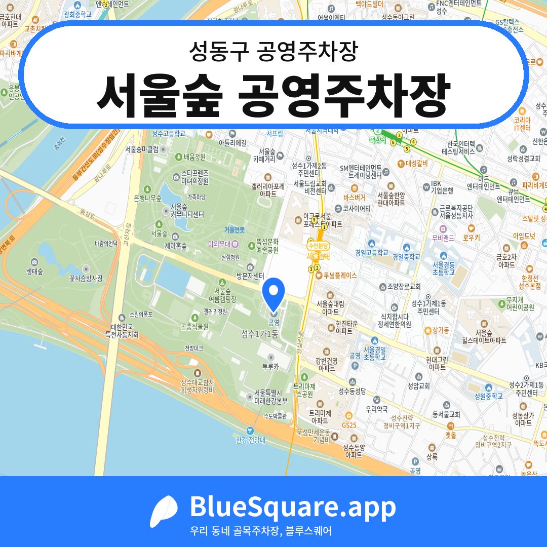 서울숲 공영주차장 위치 지도 — 서울 성동구 | 블루스퀘어 주차