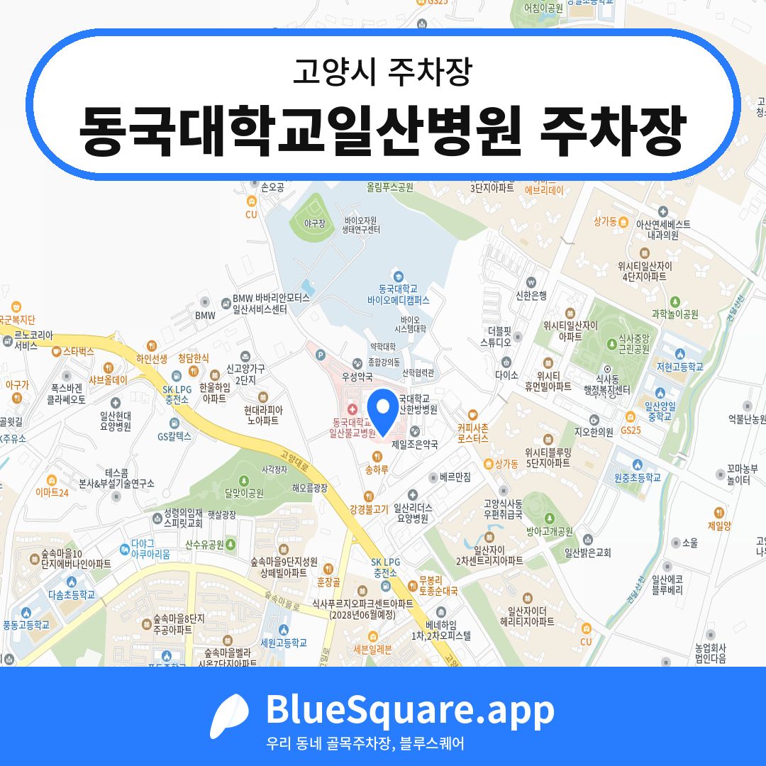 동국대학교일산병원 주차장 위치 지도 — 경기 고양시 | 블루스퀘어 주차