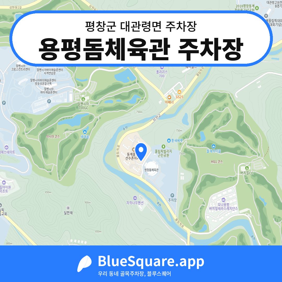 용평돔체육관 주차장 위치 지도 — 강원 평창군 대관령면 | 블루스퀘어 주차