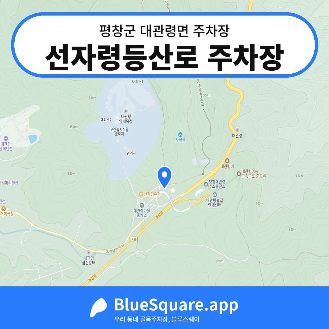 선자령등산로 주차장 위치 지도 — 강원 평창군 대관령면 | 블루스퀘어 주차