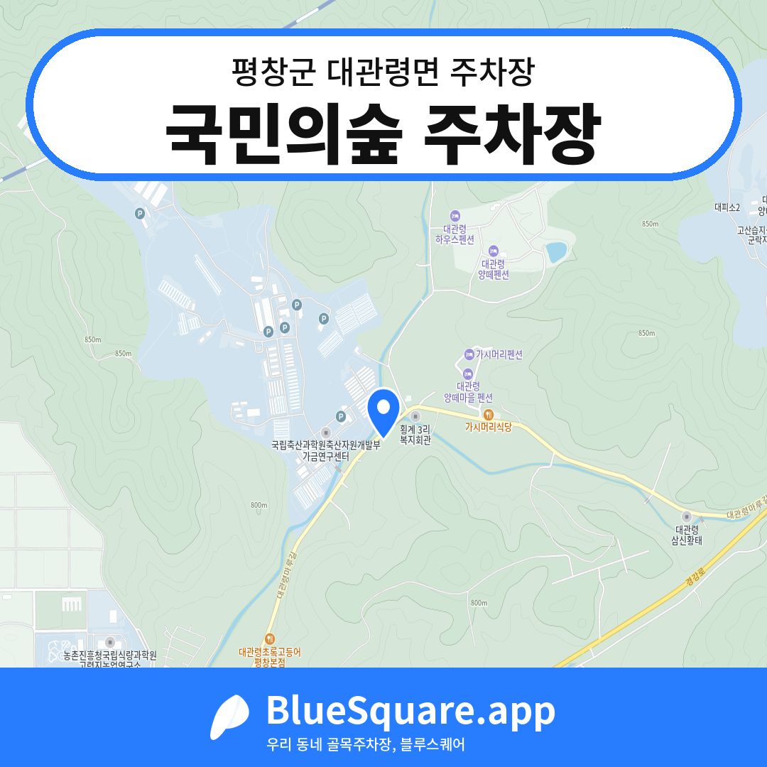 국민의숲 주차장 위치 지도 — 강원 평창군 대관령면 | 블루스퀘어 주차
