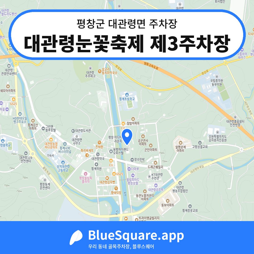대관령눈꽃축제 제3주차장 위치 지도 — 강원 평창군 대관령면 | 블루스퀘어 주차