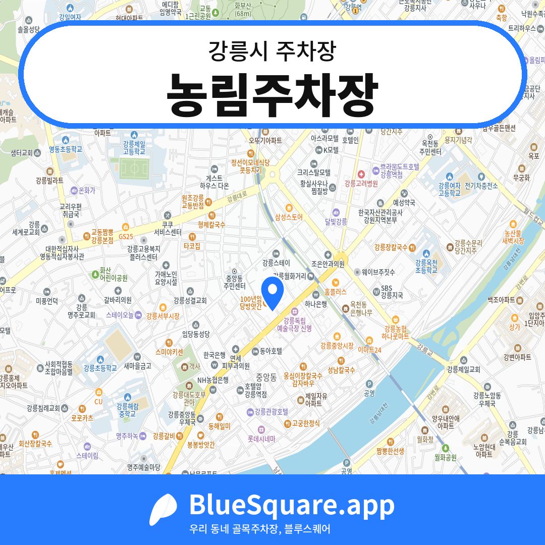 농림주차장 위치 지도 — 강원 강릉시 | 블루스퀘어 주차