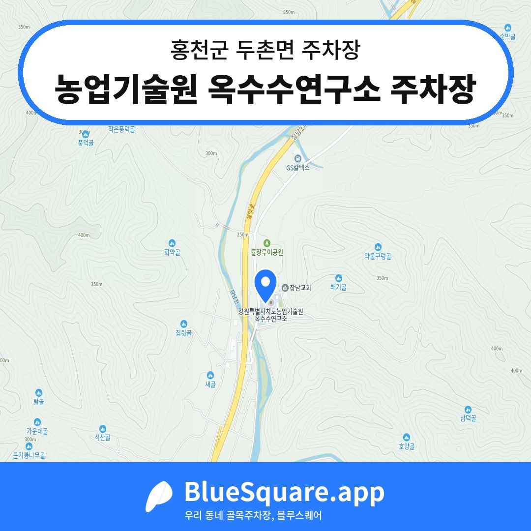 농업기술원 옥수수연구소 주차장 위치 지도 — 강원 홍천군 두촌면 | 블루스퀘어 주차