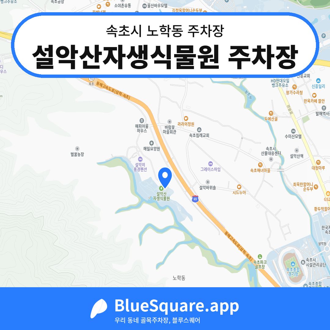 설악산자생식물원 주차장 위치 지도 — 강원 속초시 노학동 | 블루스퀘어 주차