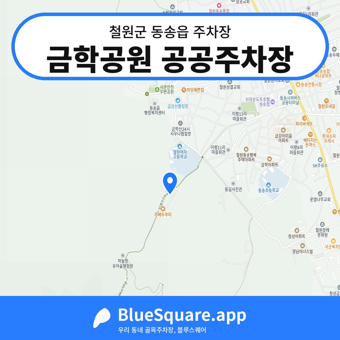 금학공원 공공주차장 위치 지도 — 강원 철원군 동송읍 | 블루스퀘어 주차