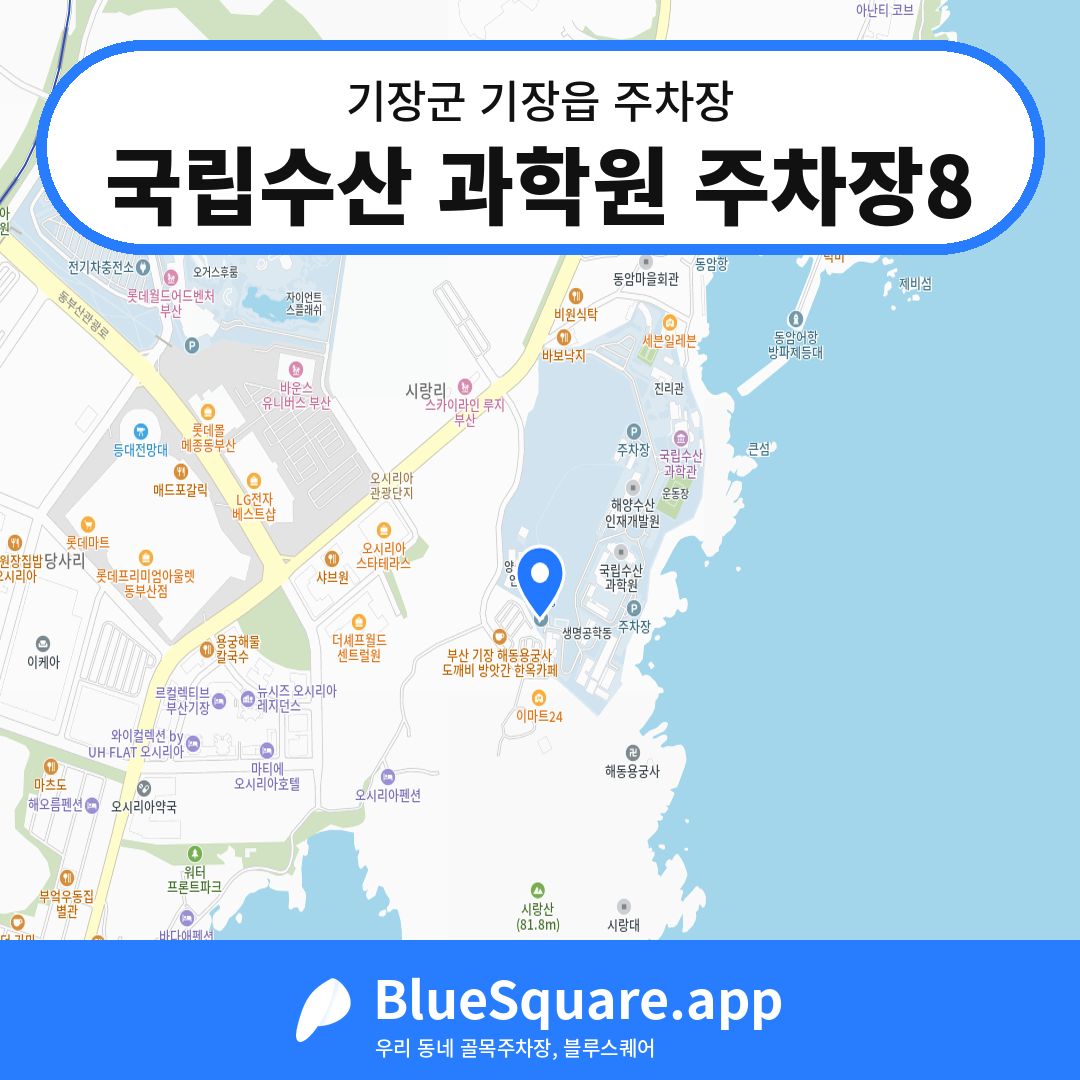 국립수산 과학원 주차장8 위치 지도 — 부산 기장군 기장읍 | 블루스퀘어 주차