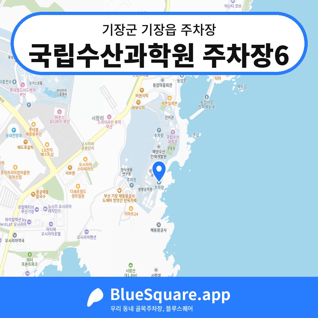 국립수산과학원 주차장6 위치 지도 — 부산 기장군 기장읍 | 블루스퀘어 주차