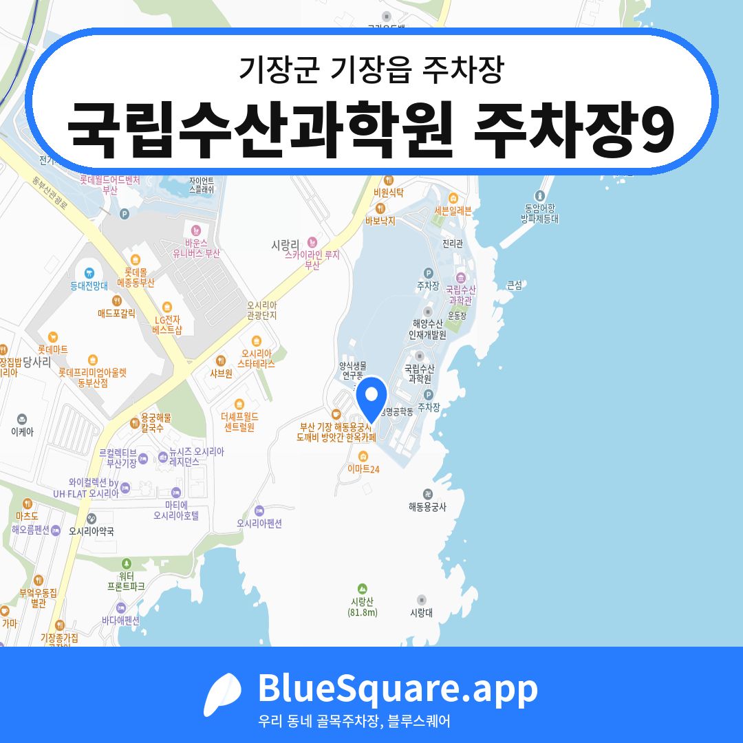 국립수산과학원 주차장9 위치 지도 — 부산 기장군 기장읍 | 블루스퀘어 주차