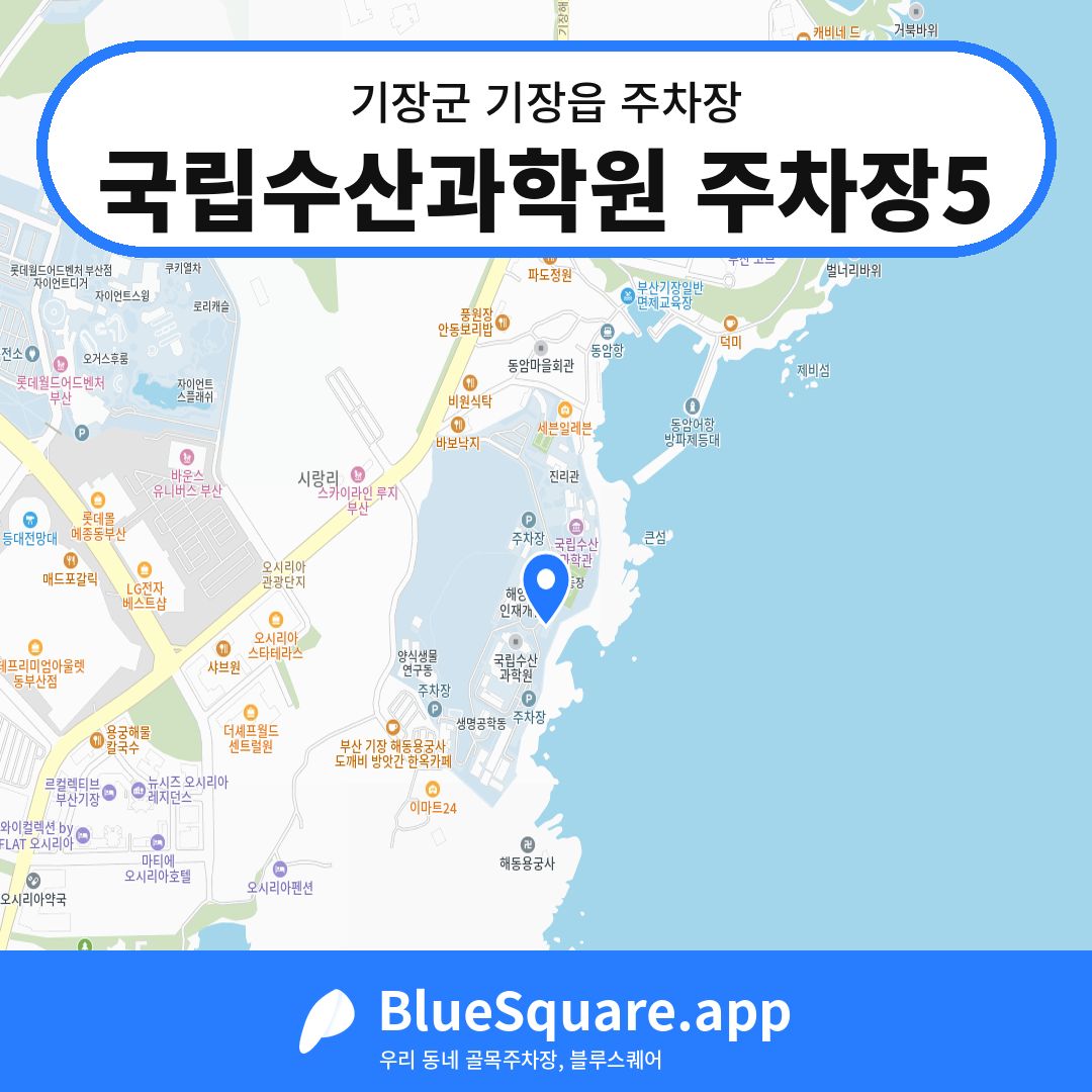 국립수산과학원 주차장5 위치 지도 — 부산 기장군 기장읍 | 블루스퀘어 주차