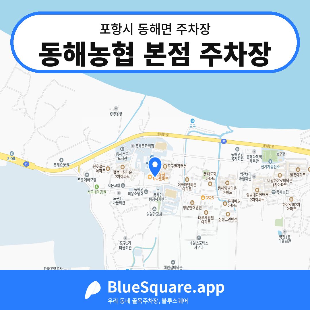 동해농협 본점 주차장 위치 지도 — 경북 포항시 동해면 | 블루스퀘어 주차