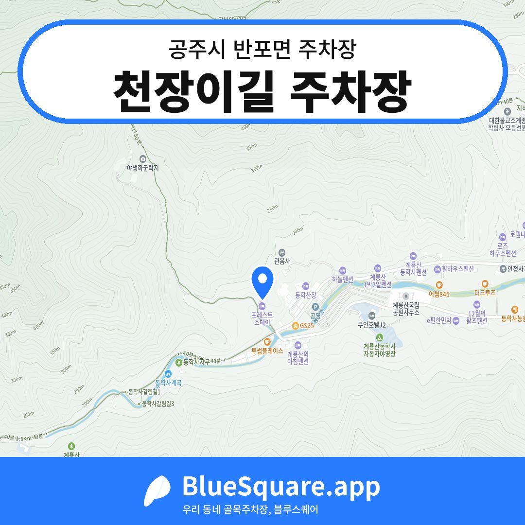 천장이길 주차장 위치 지도 — 충남 공주시 반포면 | 블루스퀘어 주차