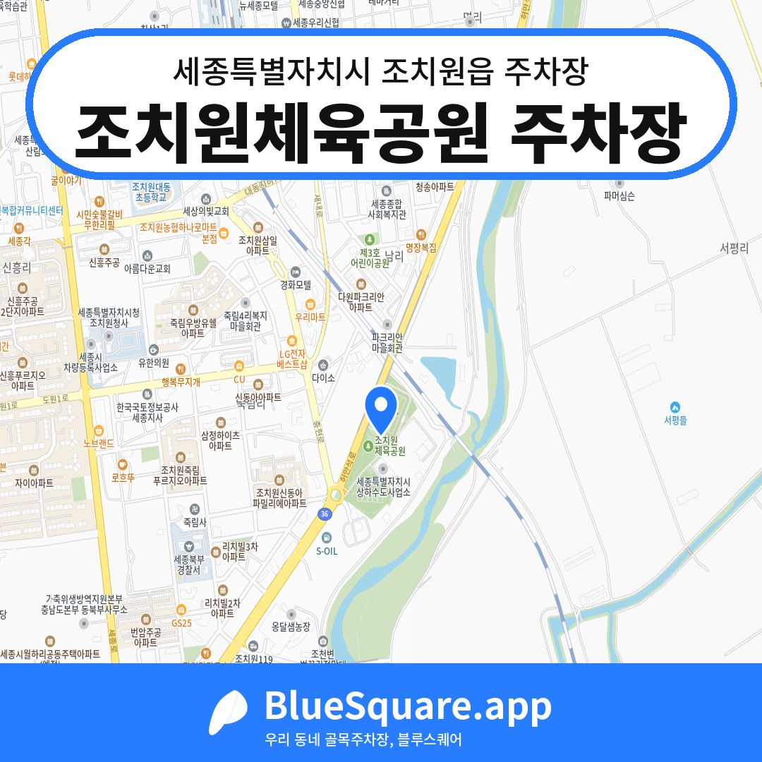 조치원체육공원 주차장 위치 지도 — 세종 세종특별자치시 조치원읍 | 블루스퀘어 주차