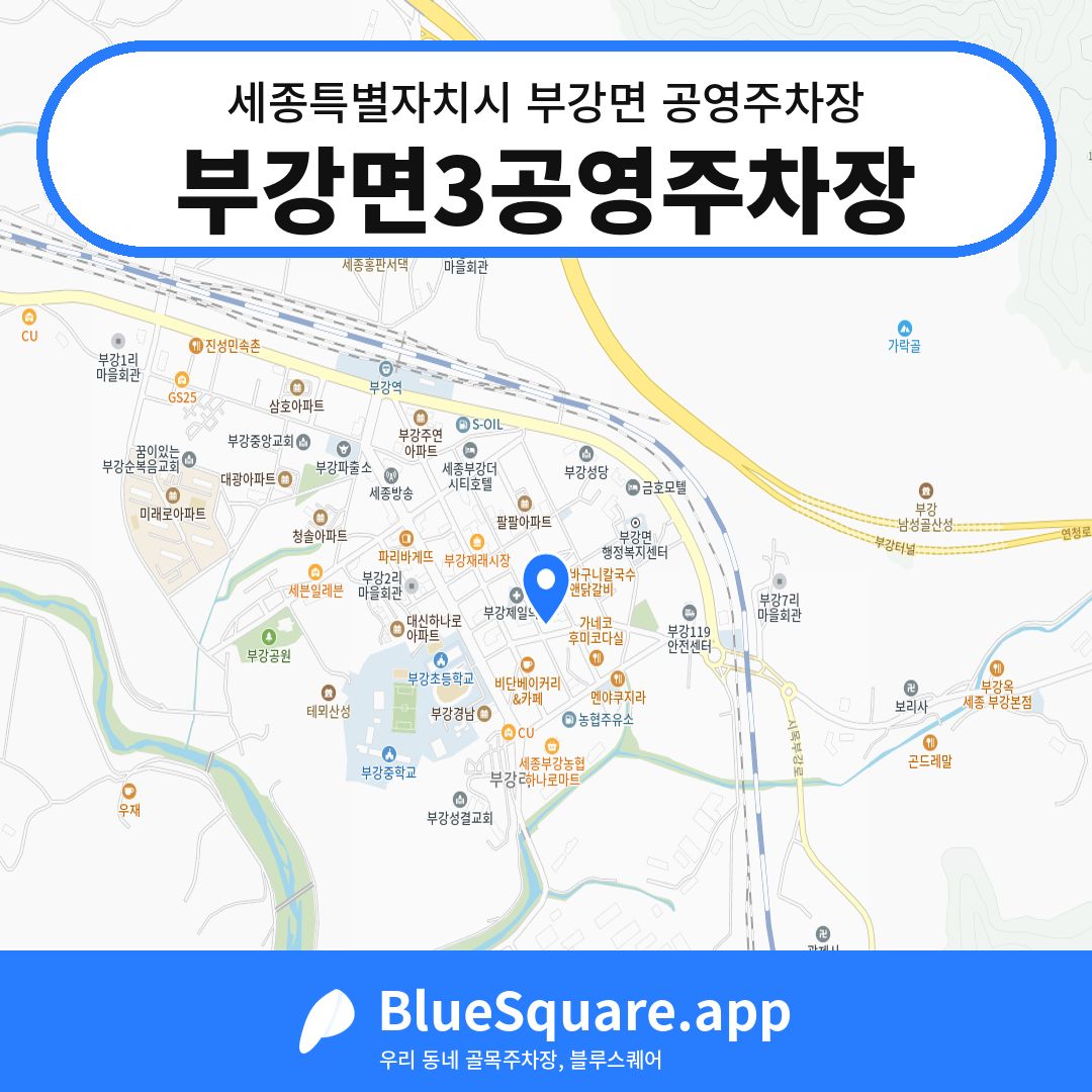 부강면3공영주차장 위치 지도 — 세종 세종특별자치시 부강면 | 블루스퀘어 주차