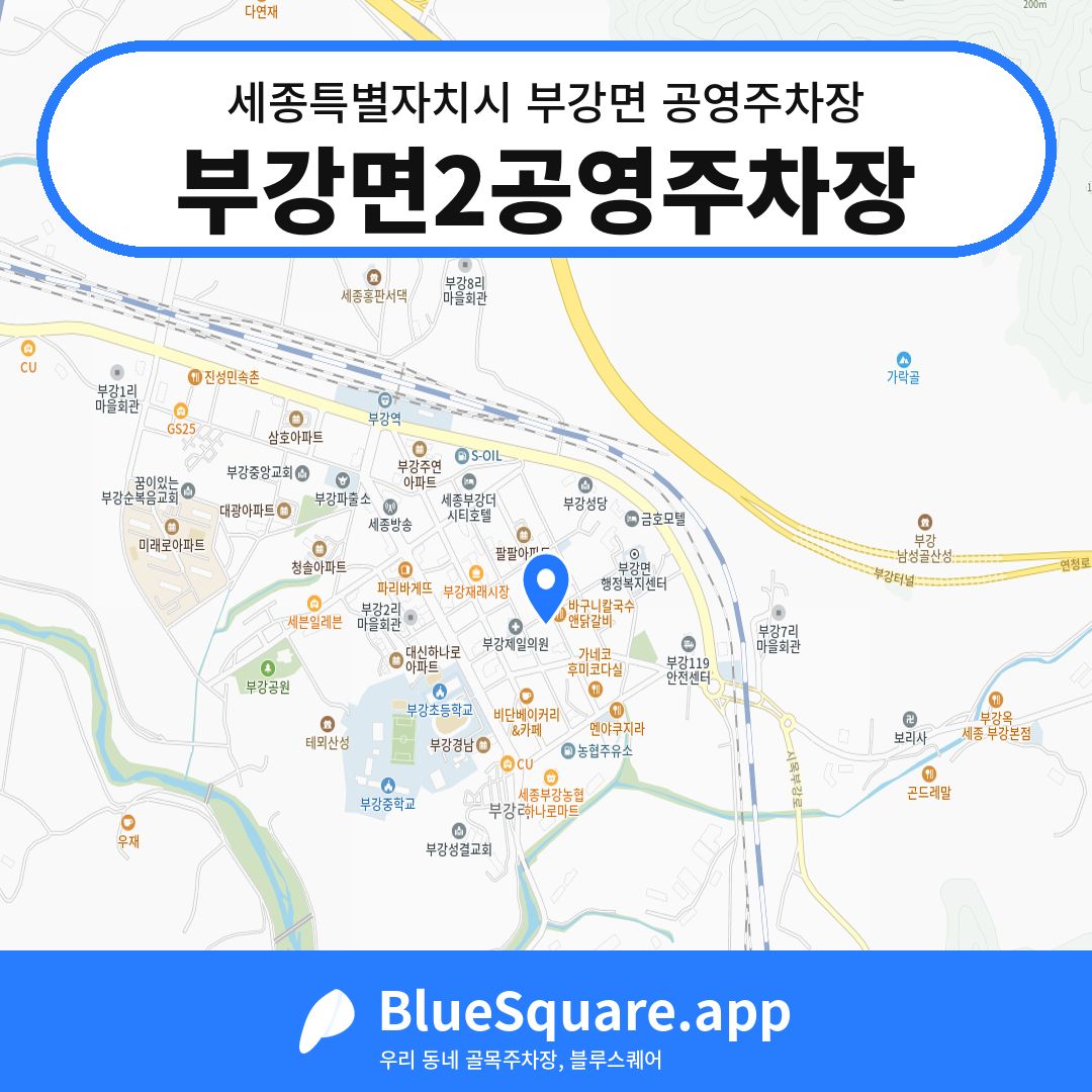 부강면2공영주차장 위치 지도 — 세종 세종특별자치시 부강면 | 블루스퀘어 주차