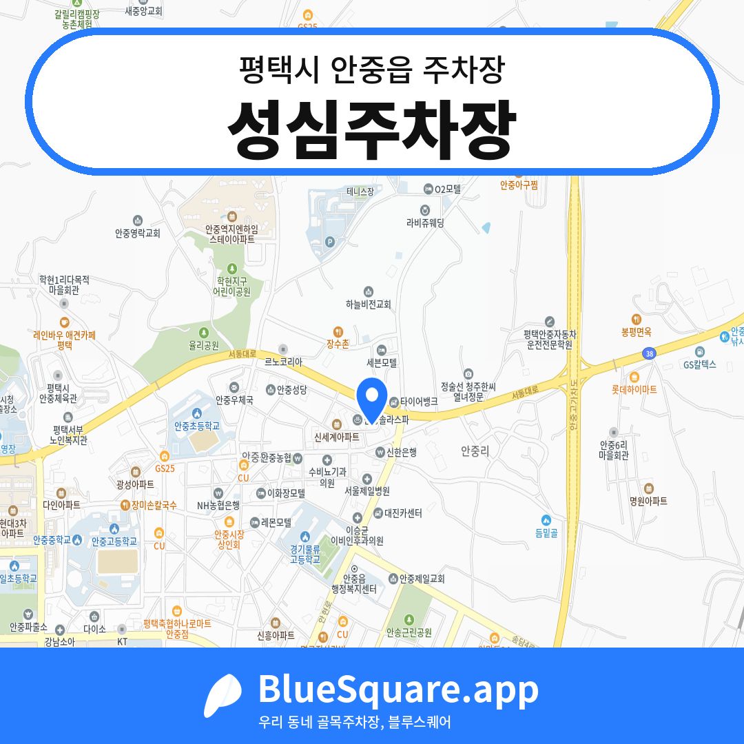 성심주차장 위치 지도 — 경기 평택시 안중읍 | 블루스퀘어 주차