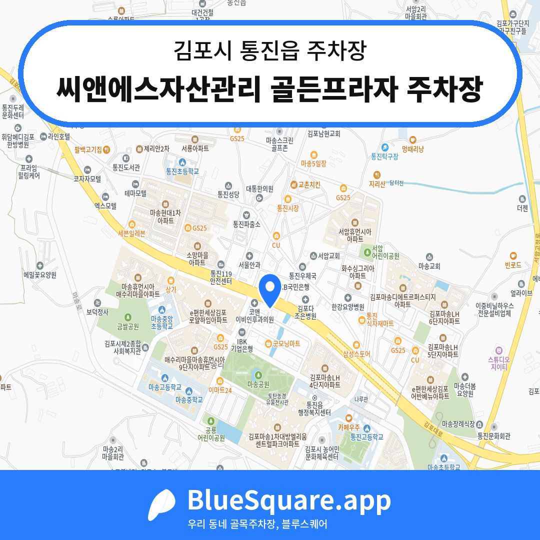 씨앤에스자산관리 골든프라자 주차장 위치 지도 — 경기 김포시 통진읍 | 블루스퀘어 주차