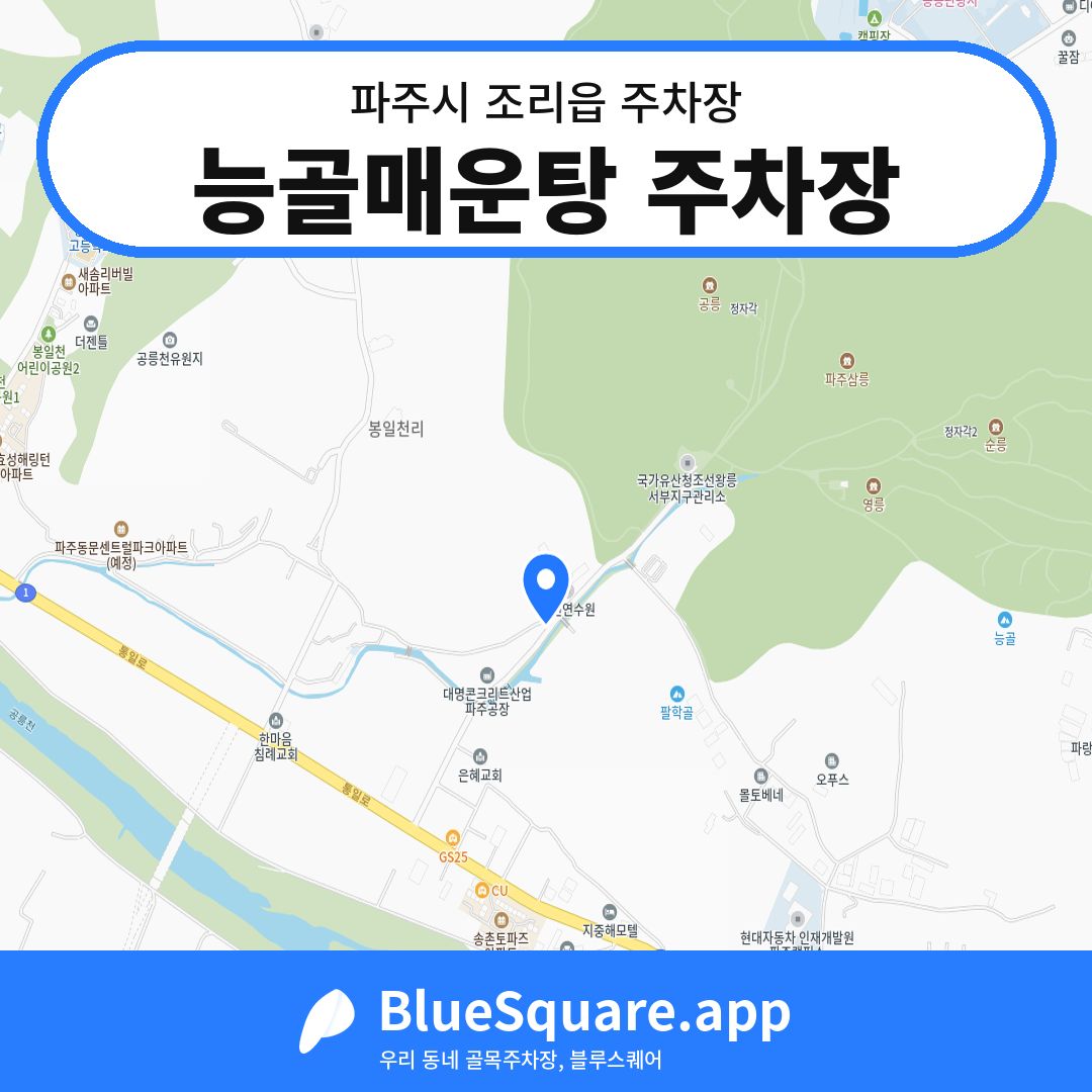 능골매운탕 주차장 위치 지도 — 경기 파주시 조리읍 | 블루스퀘어 주차
