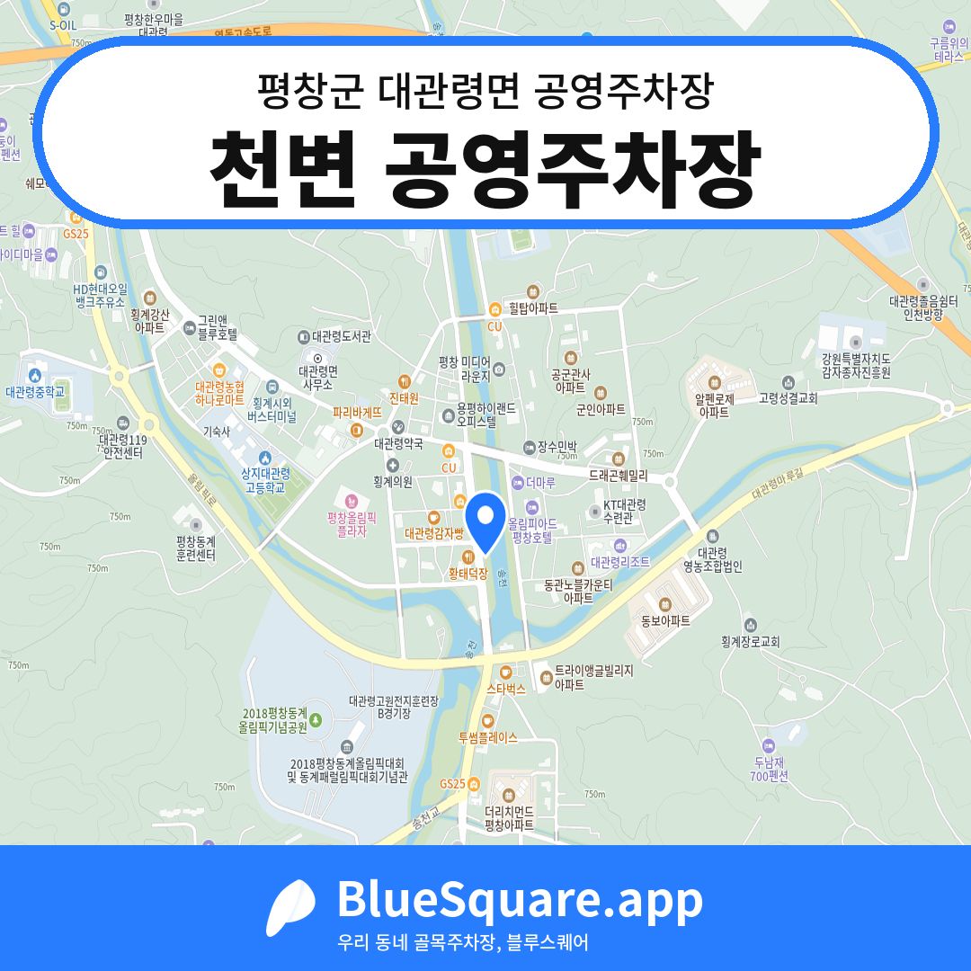 천변 공영주차장 위치 지도 — 강원 평창군 대관령면 | 블루스퀘어 주차
