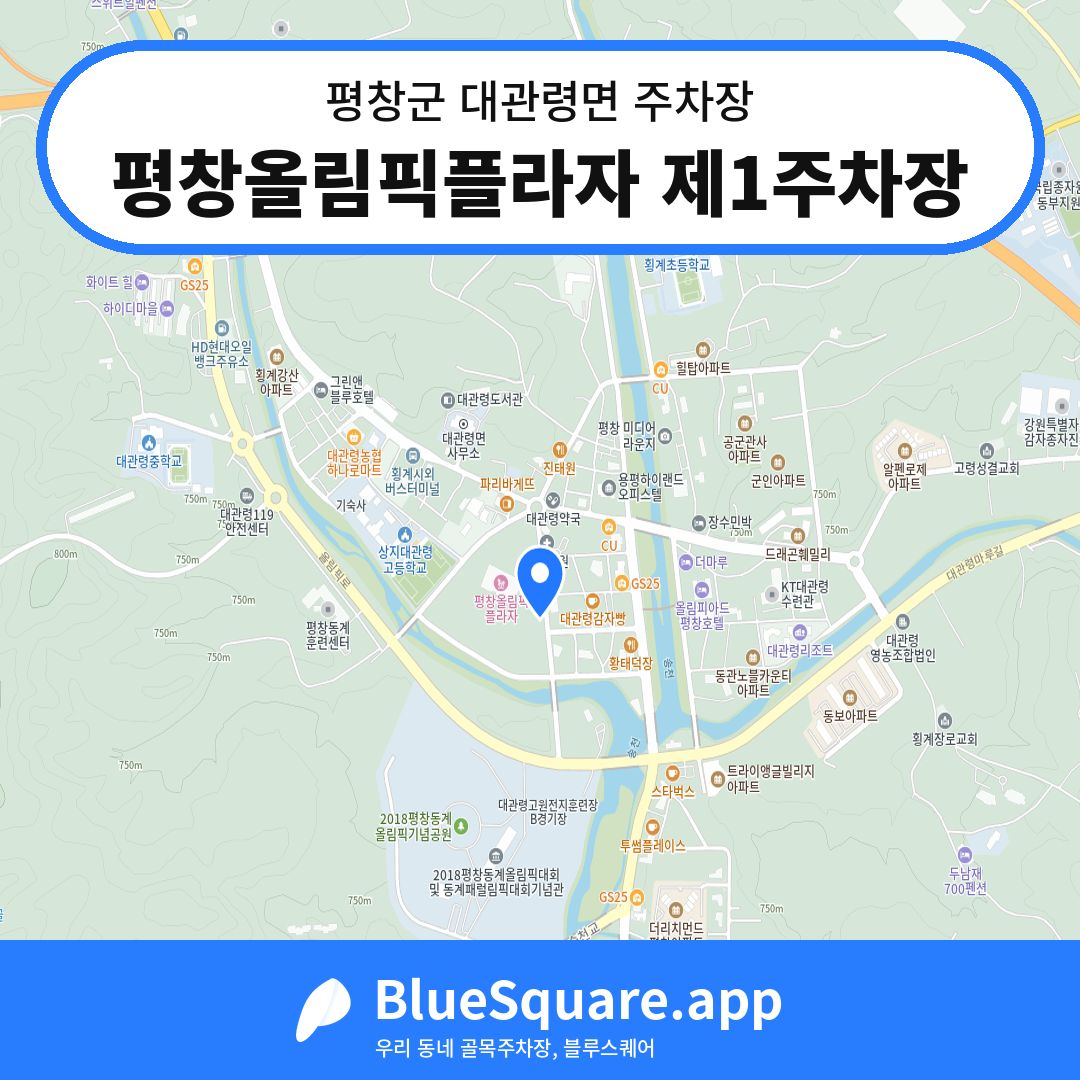 평창올림픽플라자 제1주차장 위치 지도 — 강원 평창군 대관령면 | 블루스퀘어 주차