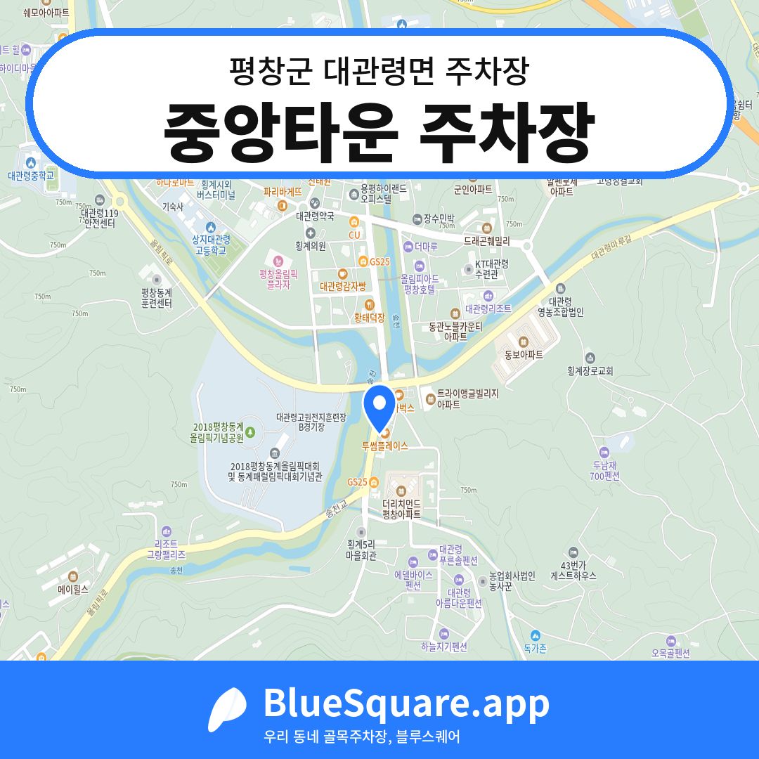 중앙타운 주차장 위치 지도 — 강원 평창군 대관령면 | 블루스퀘어 주차