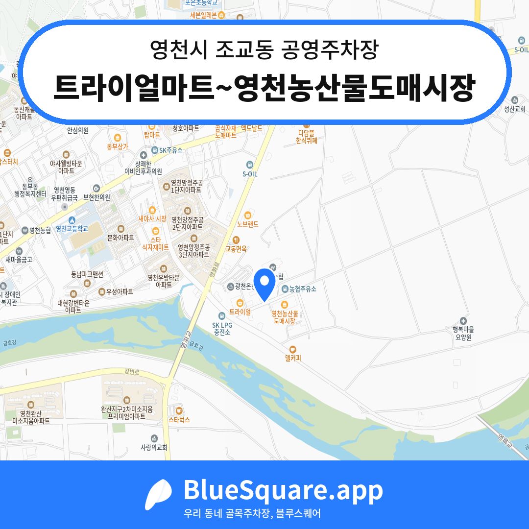 트라이얼마트~영천농산물도매시장 위치 지도 — 경북 영천시 조교동 | 블루스퀘어 주차