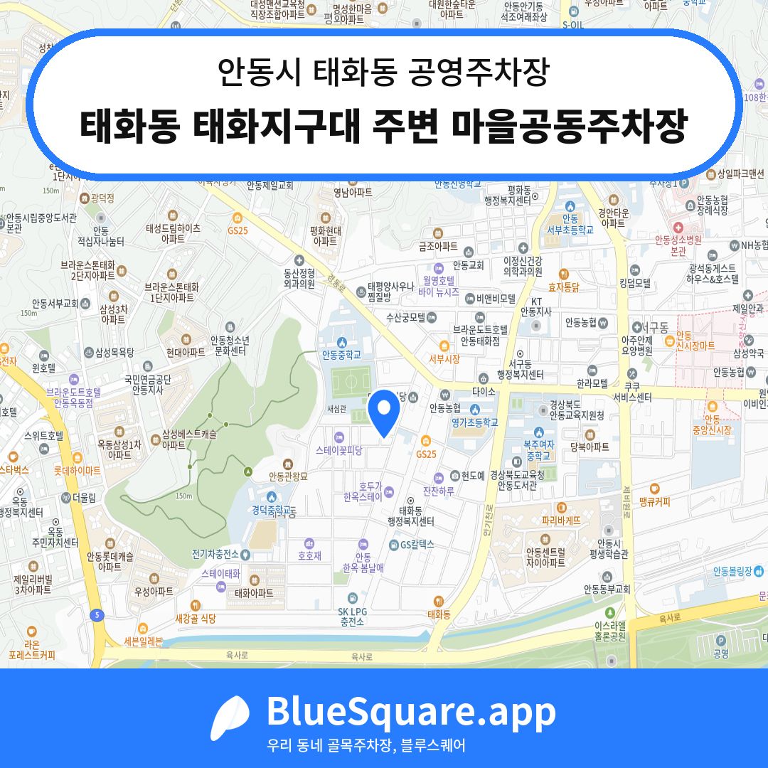 태화동 태화지구대 주변 마을공동주차장 위치 지도 — 경북 안동시 태화동 | 블루스퀘어 주차