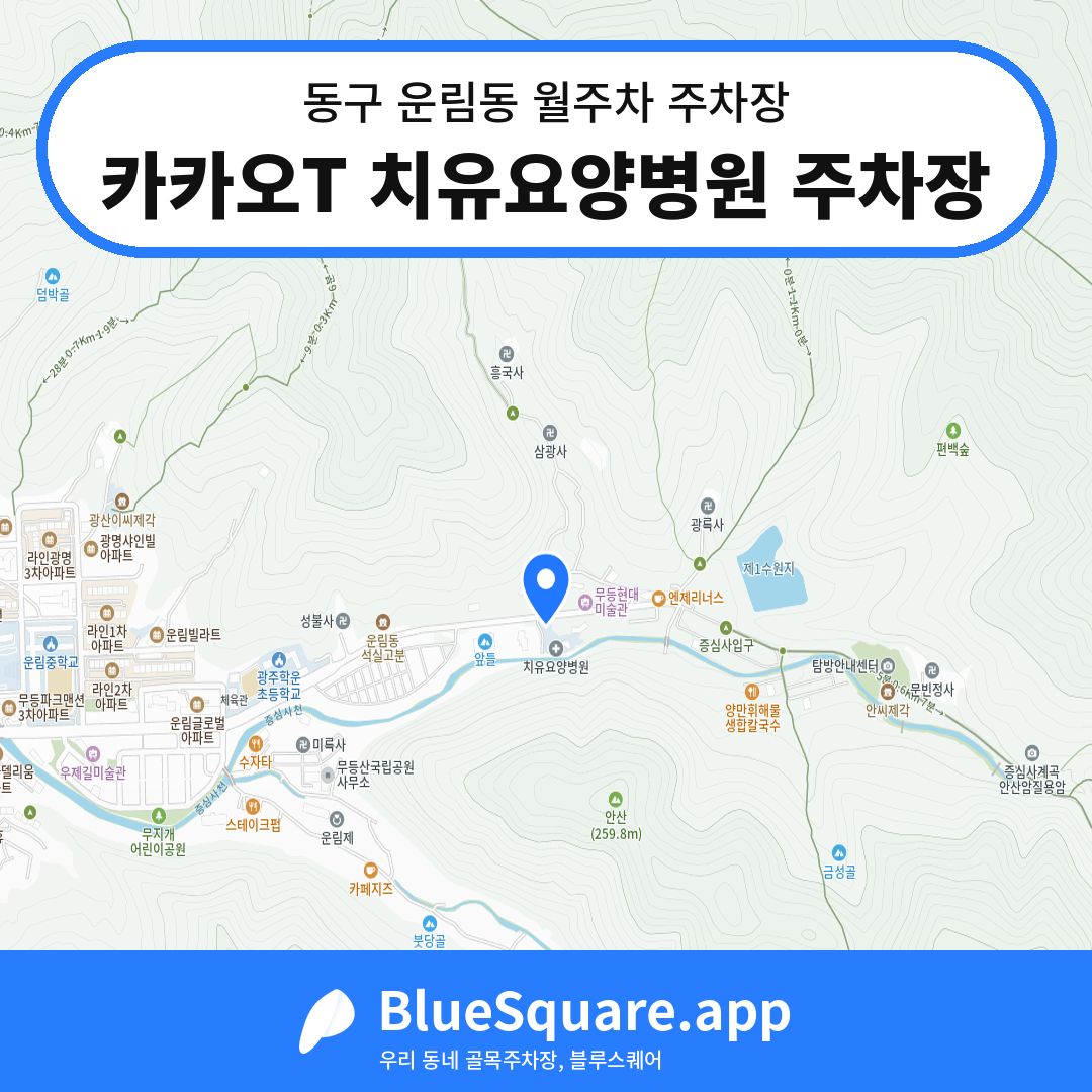 카카오T 치유요양병원 주차장 위치 지도 — 광주 동구 운림동 | 블루스퀘어 주차