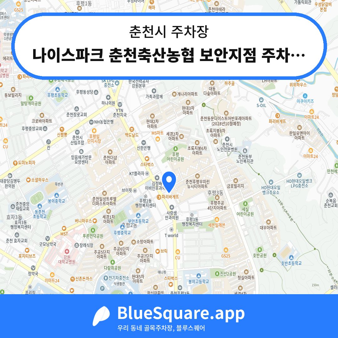 나이스파크 춘천축산농협 보안지점 주차장 위치 지도 — 강원 춘천시 | 블루스퀘어 주차