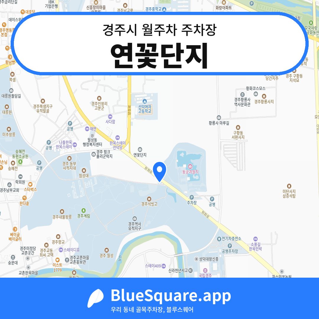 연꽃단지 위치 지도 — 경북 경주시 | 블루스퀘어 주차