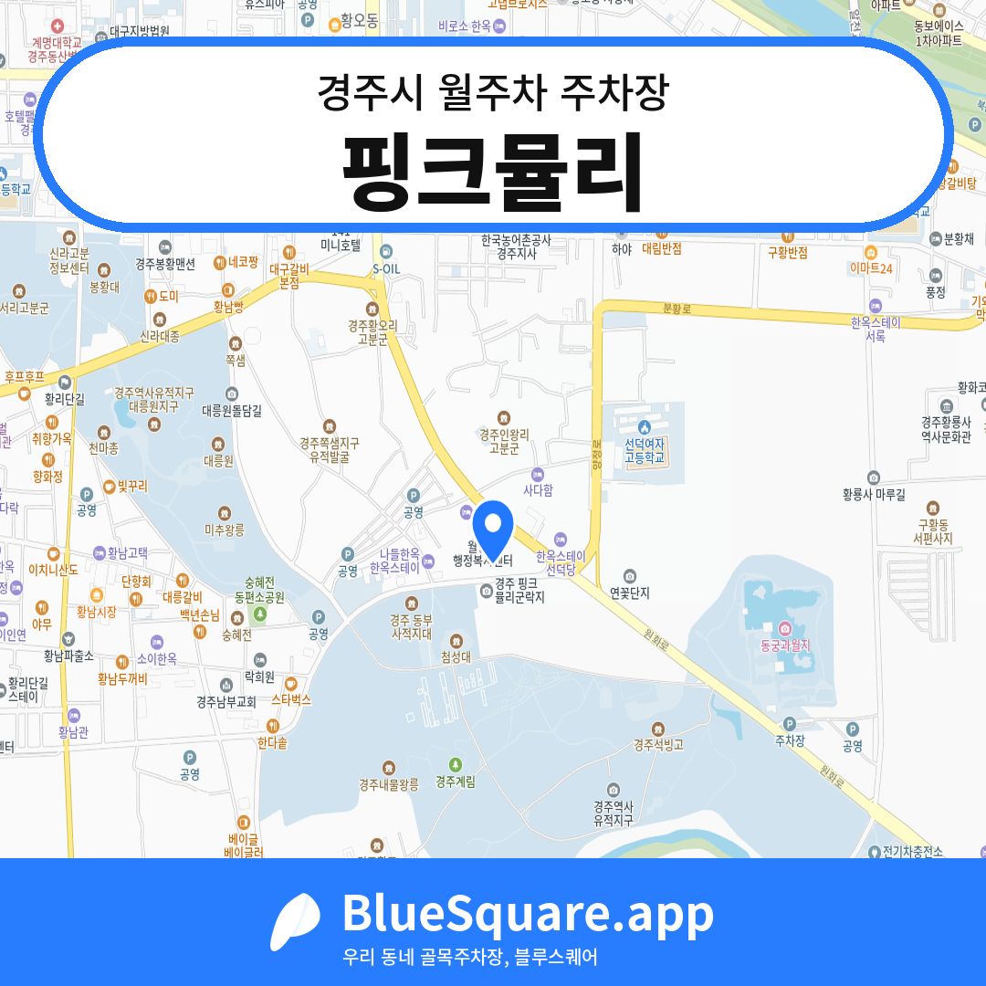 핑크뮬리 위치 지도 — 경북 경주시 | 블루스퀘어 주차