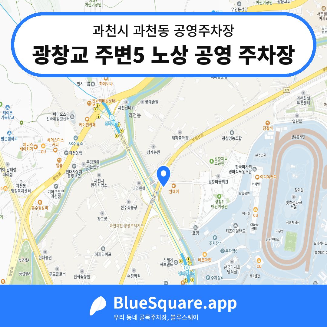 광창교 주변5 노상 공영 주차장 위치 지도 — 경기 과천시 과천동 | 블루스퀘어 주차