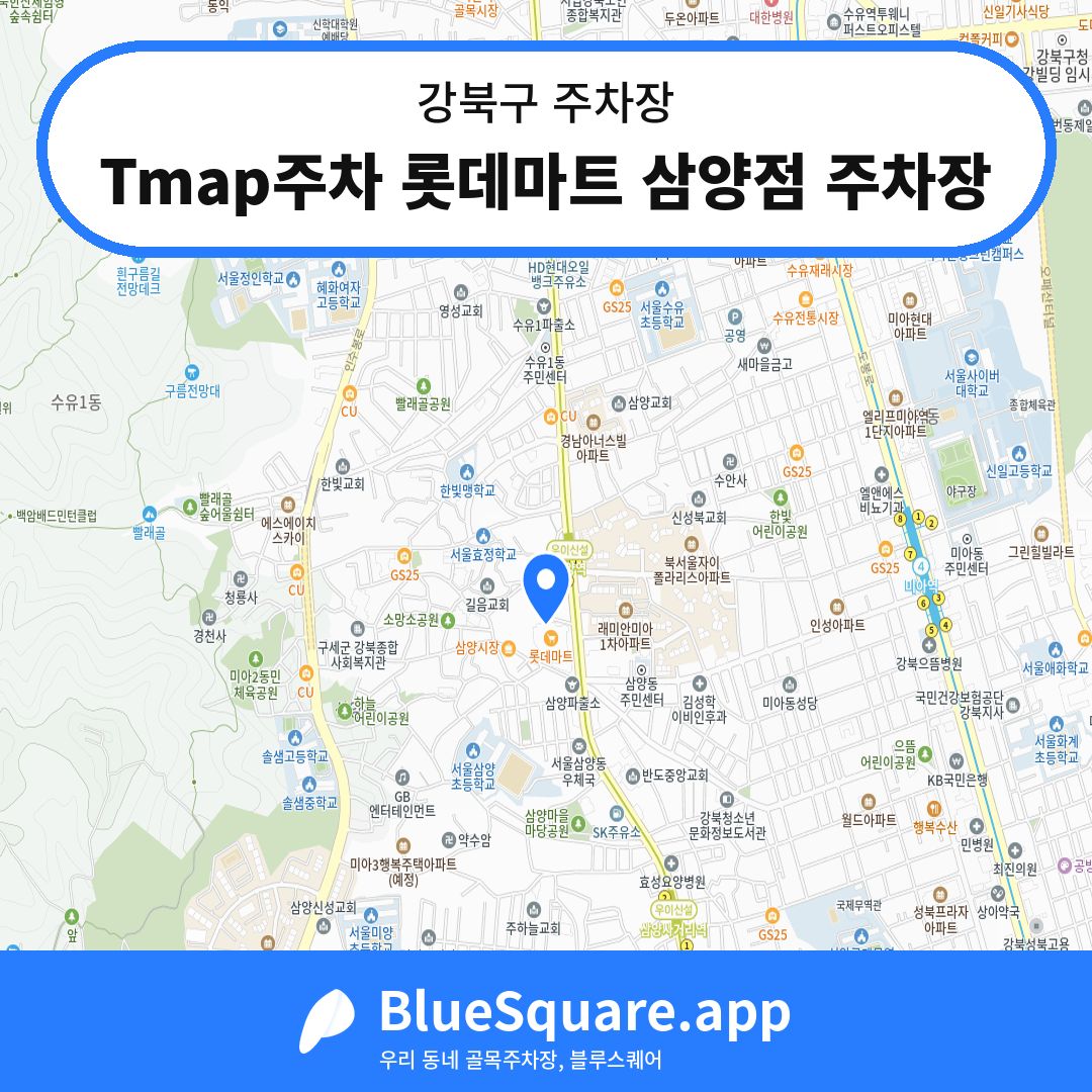 Tmap주차 롯데마트 삼양점 주차장 위치 지도 — 서울 강북구 | 블루스퀘어 주차
