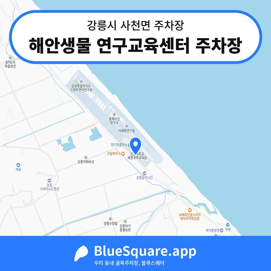 해안생물 연구교육센터 주차장 위치 지도 — 강원 강릉시 사천면 | 블루스퀘어 주차