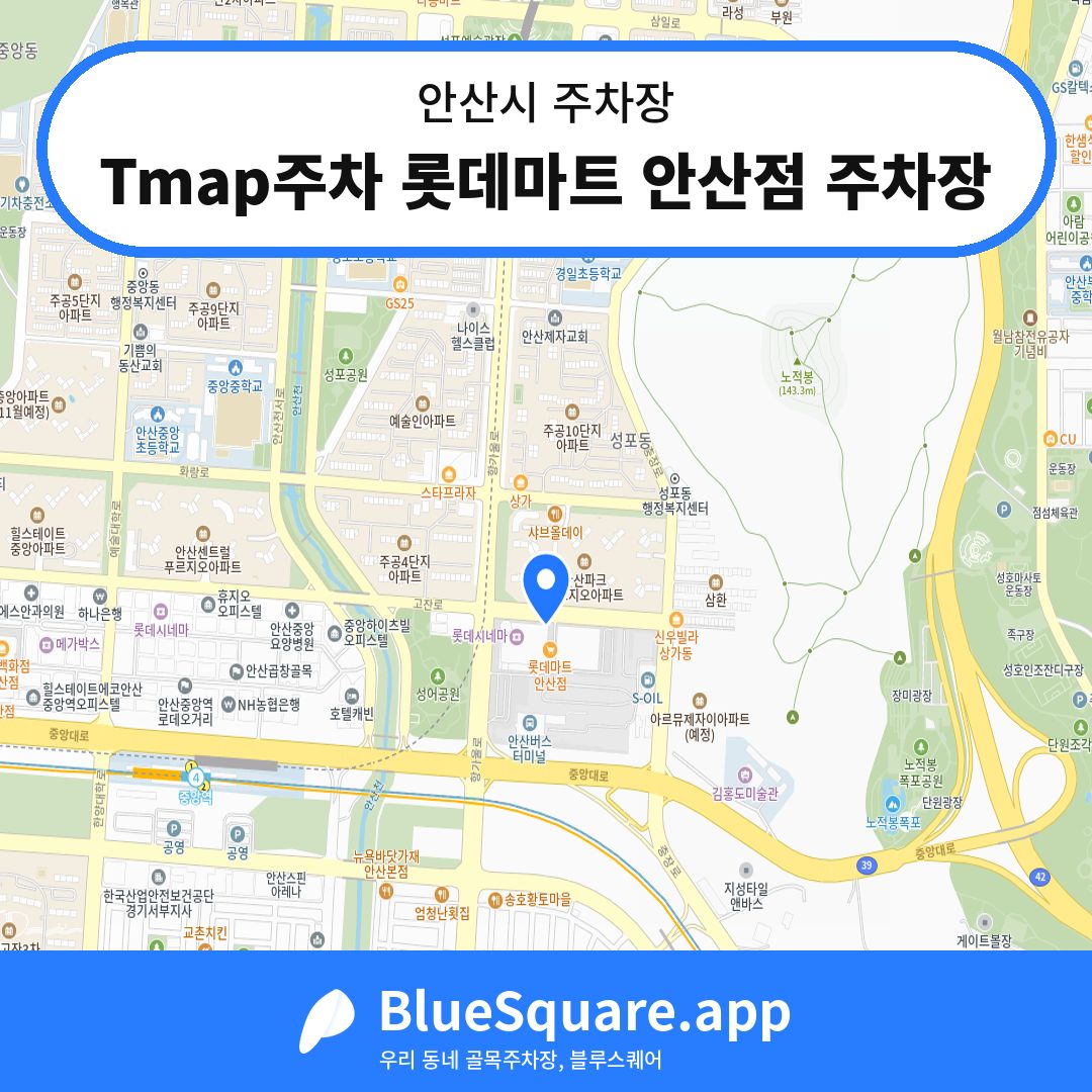 Tmap주차 롯데마트 안산점 주차장 위치 지도 — 경기 안산시 | 블루스퀘어 주차