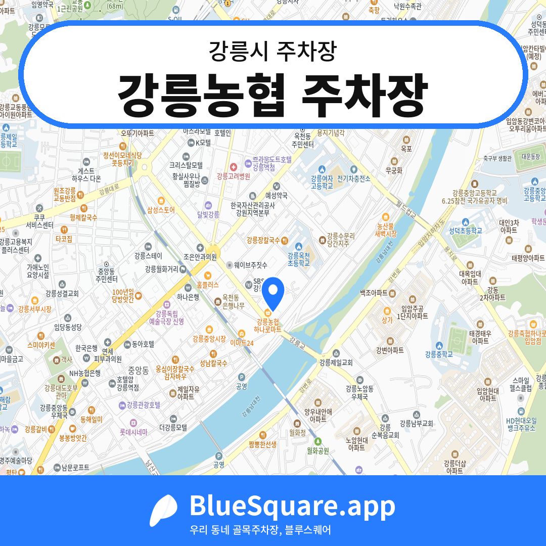 강릉농협 주차장 위치 지도 — 강원 강릉시 | 블루스퀘어 주차